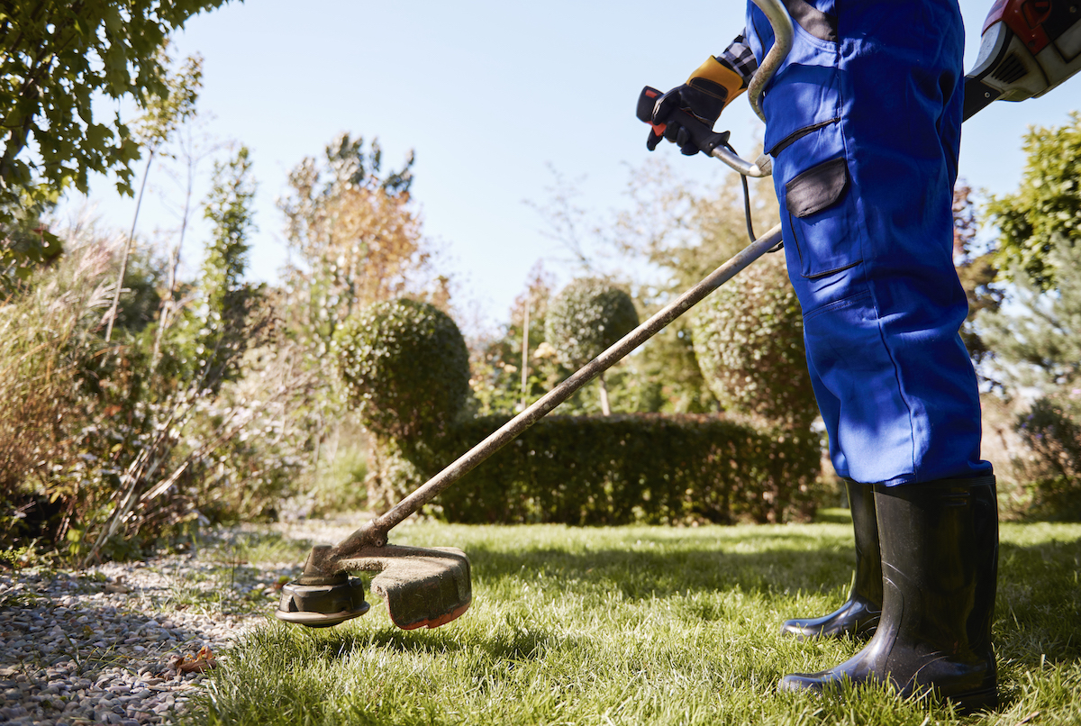 Garden Services