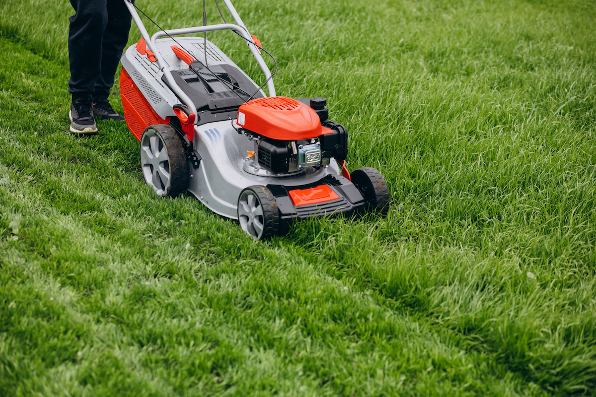 Garden Services