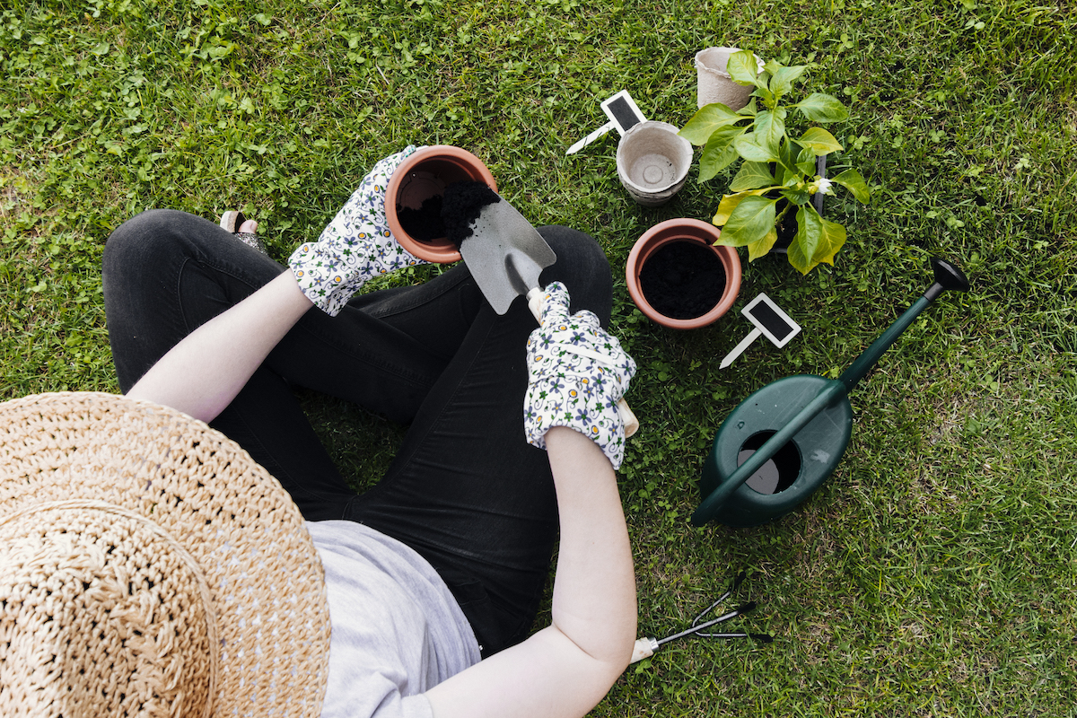 Garden Services